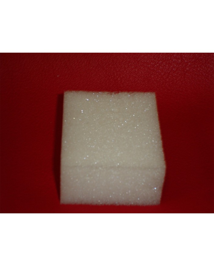 Lot de 10 éponges applicatrices