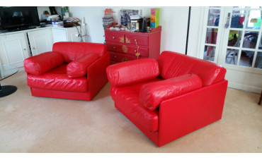 Repigmentation d'un canapé DE SEDE